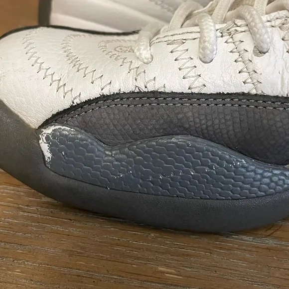Air jordan retro 12 youth shoes