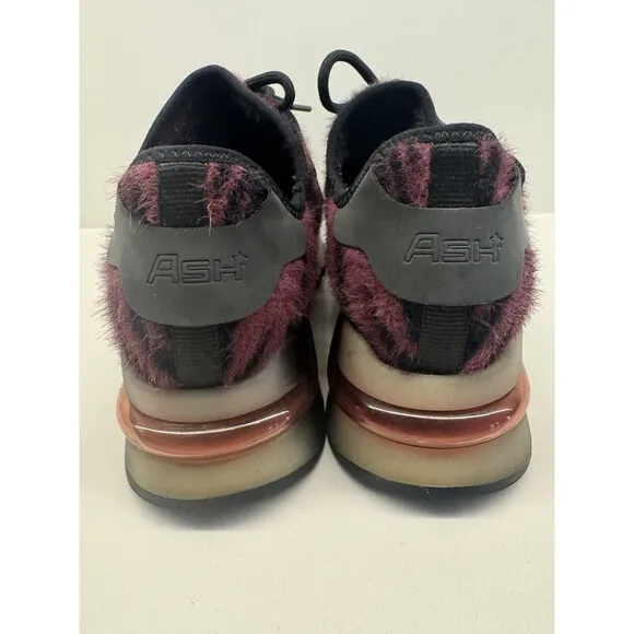 ASH Women's Ash Krush model sneakers velour zebra print Shoes size 38Eur /7.5US