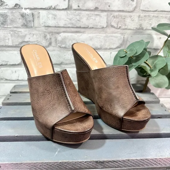 Charles by Charles David Women’s Brown Wedge Platform Sandals - Size 8M