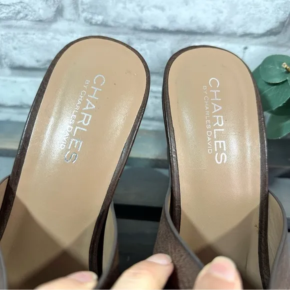 Charles by Charles David Women’s Brown Wedge Platform Sandals - Size 8M