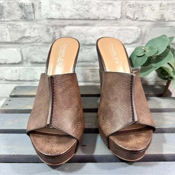 Charles by Charles David Women’s Brown Wedge Platform Sandals - Size 8M