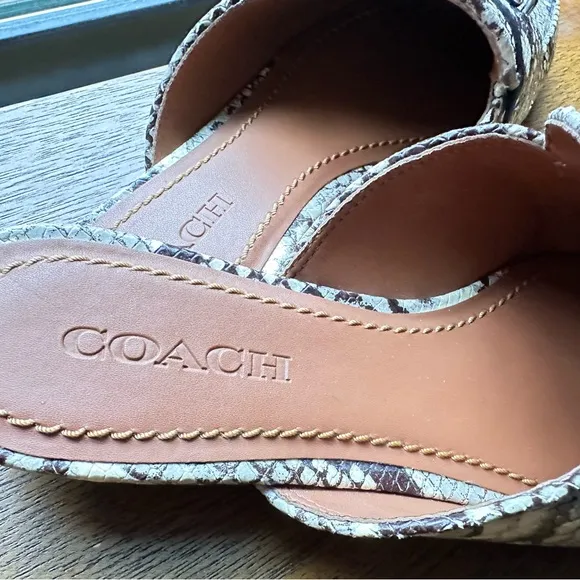 Coach Women's Snakeskin Pattern Shoes - Brown