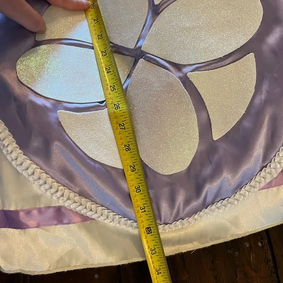 CUSTOM MADE 💜 Disney Princess Sofia costume &amp; accessories