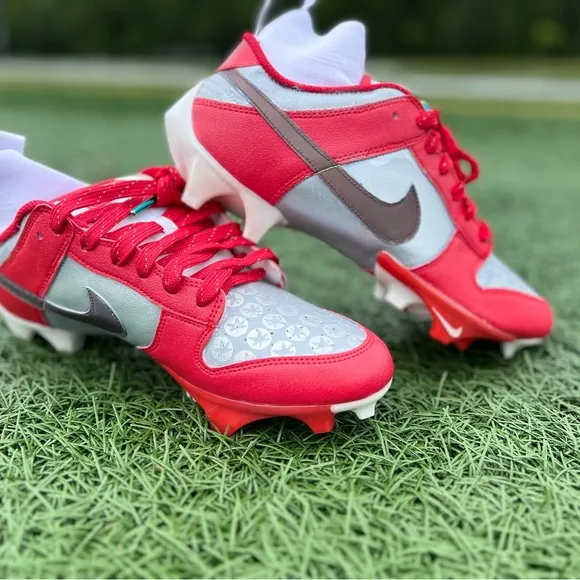 Custom Ohio State painted Nike Low Top Vapor Edge Dunk Molded Cleats. Size 10.