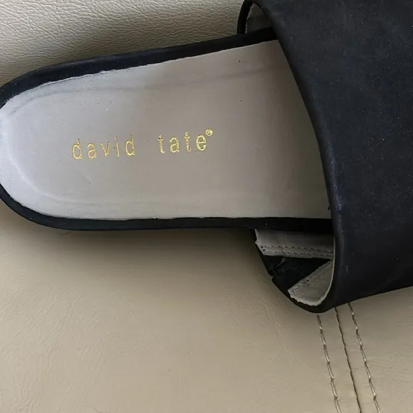 David Tate Hot Platform Slide Sandals