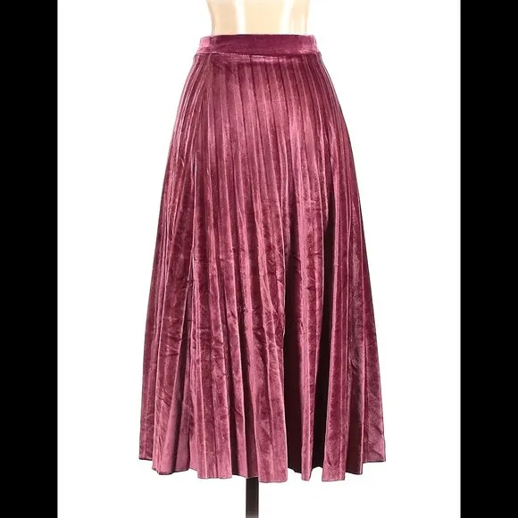 💥💖HOST PICK💖💥 STUNNING Pleated Midi Skirt in Velvet