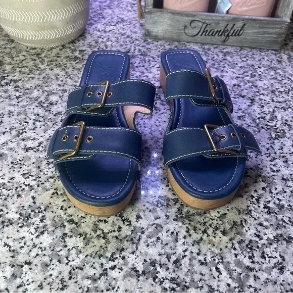 J.Crew | Blue Leather Double Buckle-Strap Sandals Wood Bottom Size 8.5
