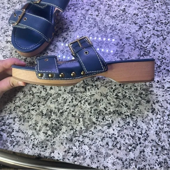 J.Crew | Blue Leather Double Buckle-Strap Sandals Wood Bottom Size 8.5