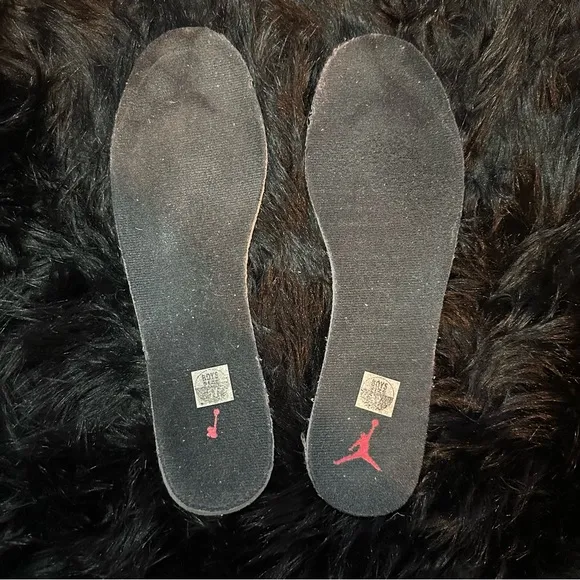 Jordan Retro 12 “Flu Game”