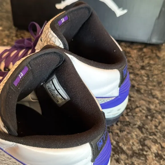 Jordan retro 2 dark concord sneakers - White and PurpleEUC 11