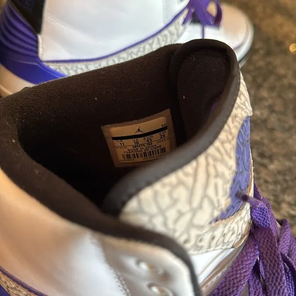 Jordan retro 2 dark concord sneakers - White and PurpleEUC 11