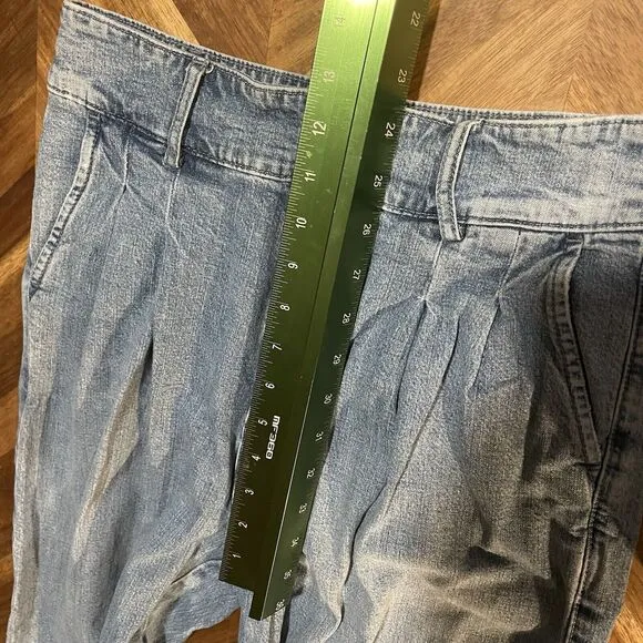 Madewell Jeans High Rise Pleated Wide Leg Crop Denim Womens 4