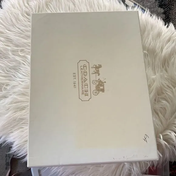NIB Stacked Heel Tan Coach Sandals