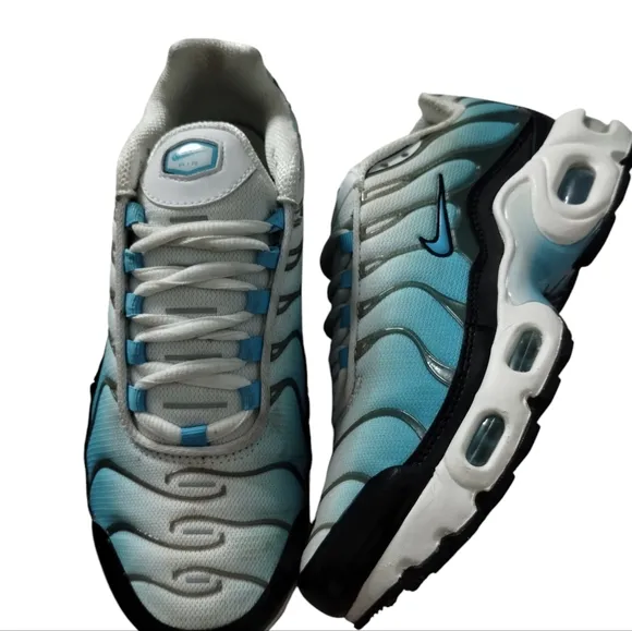Nike Air Max Plus TN Sneakers Ombre Athleisure Athletic size 4Y/5½Women Running