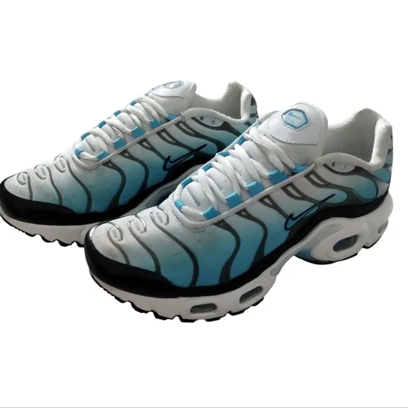 Nike Air Max Plus TN Sneakers Ombre Athleisure Athletic size 4Y/5½Women Running