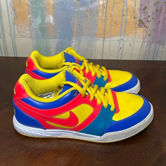 Nike Dunk Low 6.0 Custom Nike ID Pro Skate Shoes 418454-991 Women’s size 10