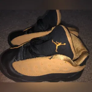 Nike Jordan Retro Chutney 12