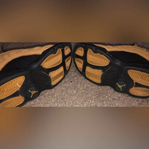 Nike Jordan Retro Chutney 12