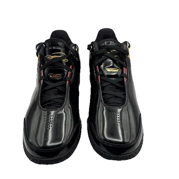 Nike Zoom Lebron NXXT GEN AMPD Black/Metallic Gold Men's Size 12 Brand New