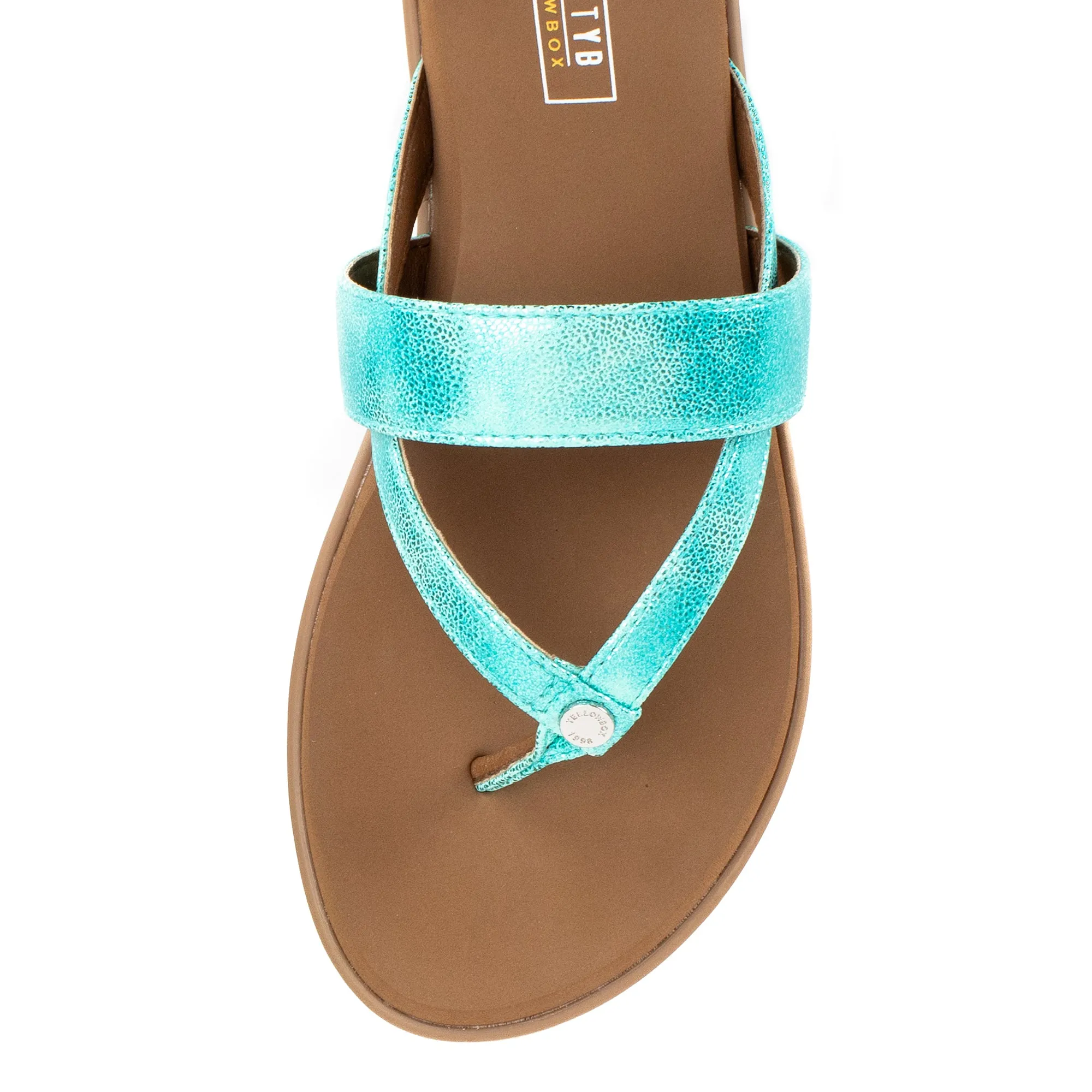 Shayne Sandal
