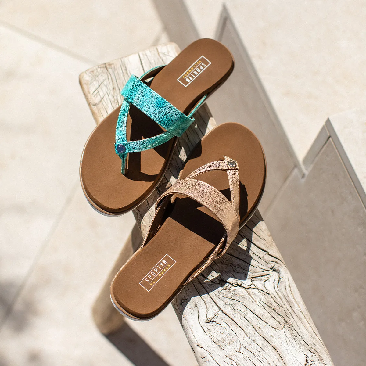 Shayne Sandal