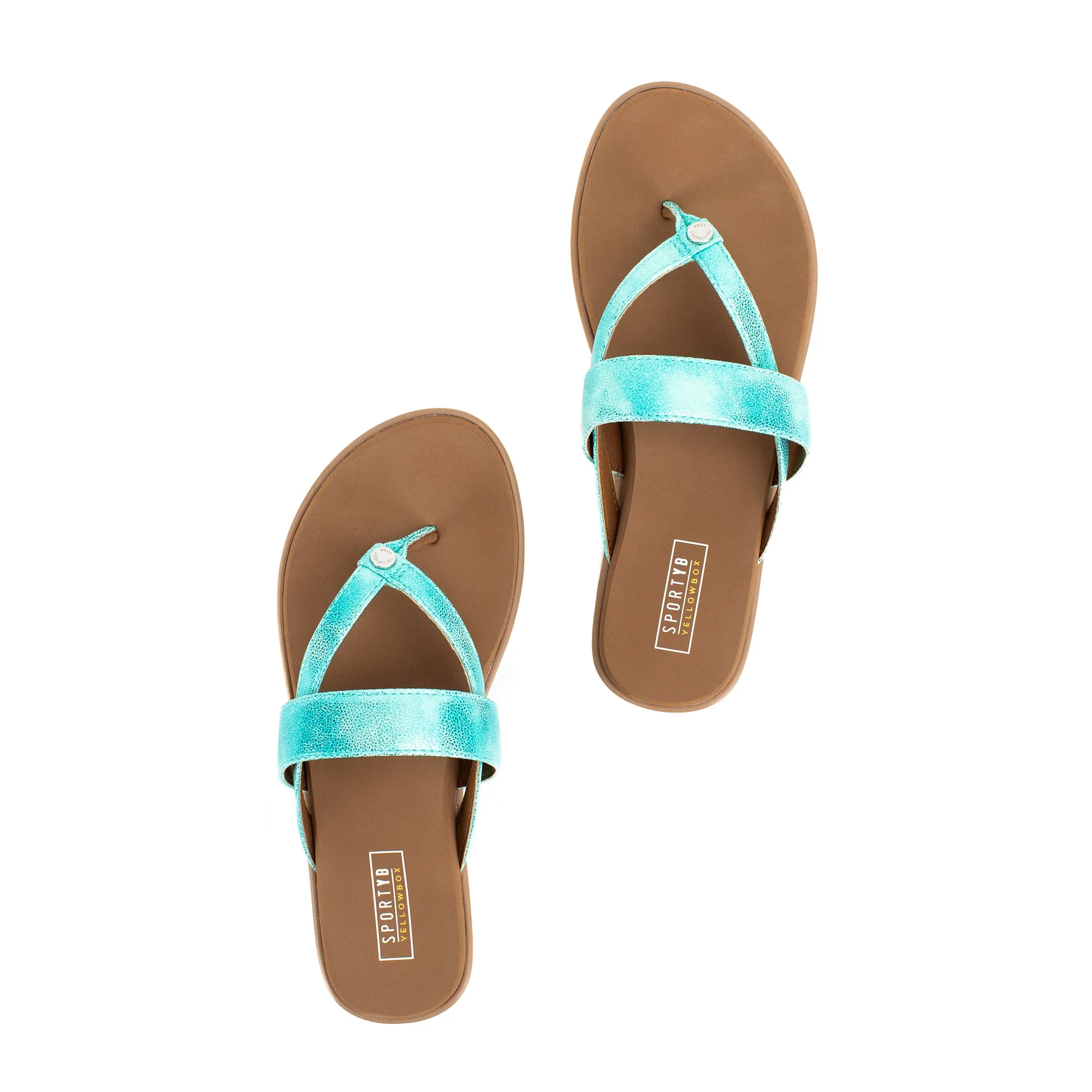 Shayne Sandal