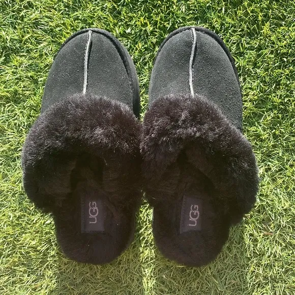 UGG Disquette Slipper!