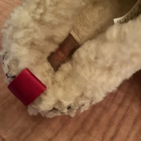 UGG Tazz Platform Sherpa Shoes