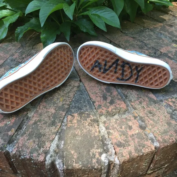 VAN's Toy Story Woody  Shoes