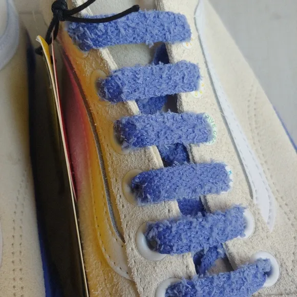 VANS x Tierra WHACK Old Skool Skate Shoes
