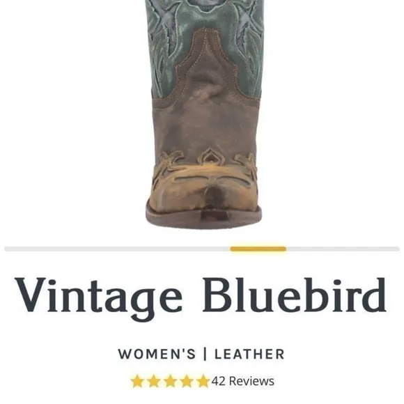 Vintage Style Bluebird