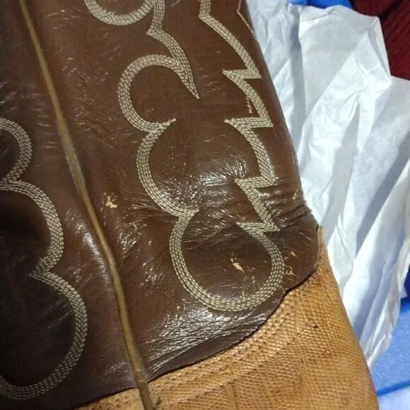 Vintage Tony Lama lizard skin boots
